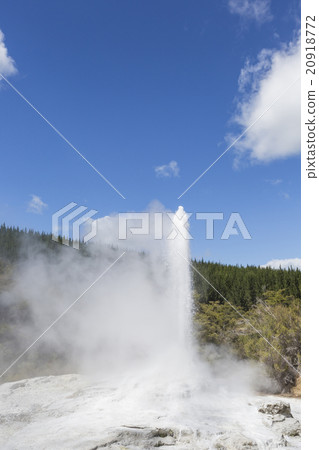 Pohutu Geyser, New Zealand Pohutu Geyser, New Zealand 20918772