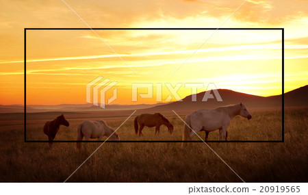 Frame Copy Space Square Border Rectangle Concept Frame Copy Space Square Border Rectangle Concept 20919565