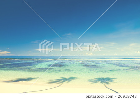 Summer Beach Tropical Paradise Seascape Concept 20919748