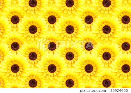 Artificial sunflower background Artificial sunflower background 20924600