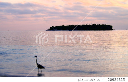 Maldives 20924815