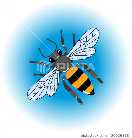 Isolated  bee icon 20926518