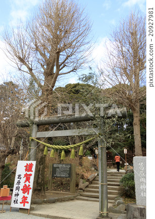 Kuzuhara Oka Shrine Kuzuhara Oka Shrine 20927981