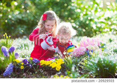 Stock Photo: Kids planting flowers in blooming garden