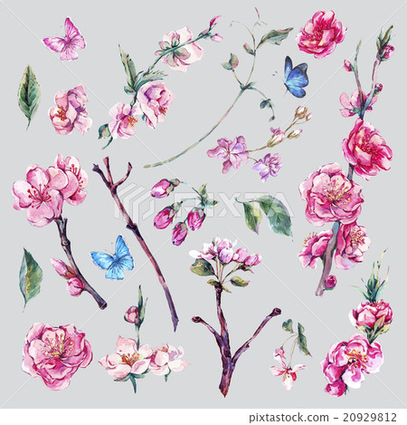 Set of watercolor Spring Nature elements 20929812