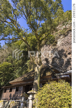 Kunisaka-jima村村 20931176