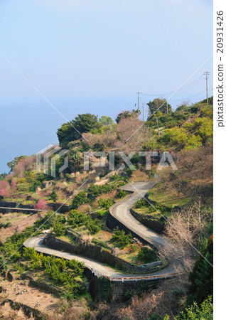 沿著可汗山俯瞰相模灣， 20931426