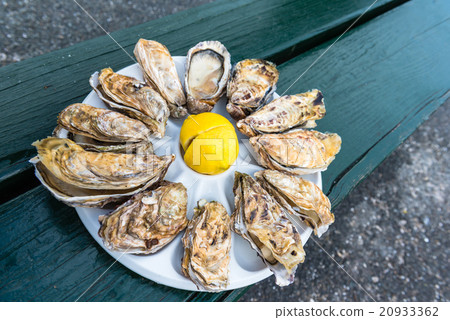 A dozen oysters on a plastic plate 20933362