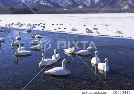 Kussharo lakeside in the winter season Kussharo lakeside in the winter season 20933415