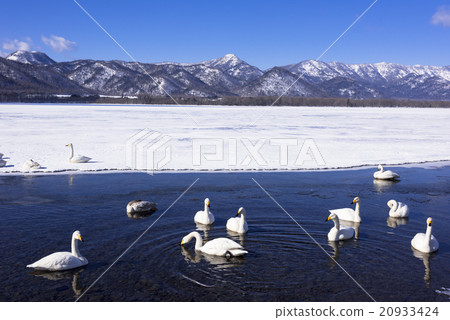 Kussharo lakeside in the winter season Kussharo lakeside in the winter season 20933424