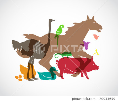 Vector animal group on white background, 20933659