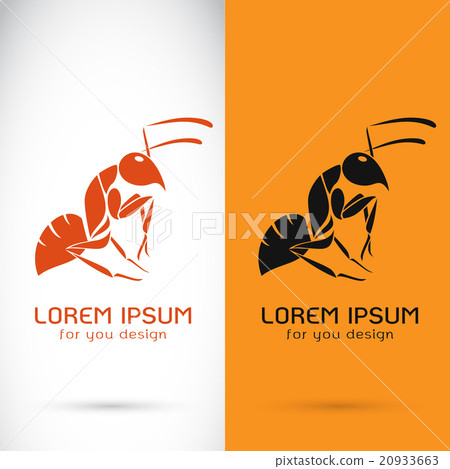 Vector image of a ant design  20933663