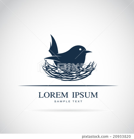 Vector image of an bird hatch her egg in nest 20933820