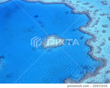 心葉大堡礁 心葉大堡礁 20933838