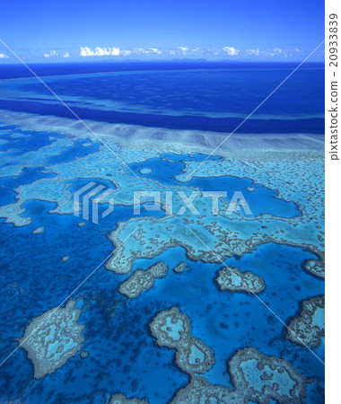 Great Barrier Reef Australia Great Barrier Reef Australia 20933839