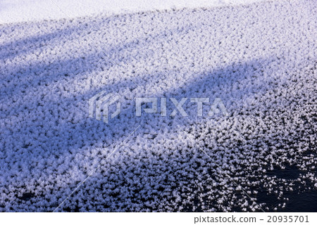Winter in Lake Kussharo Hanasaki of Hayo ice Winter in Lake Kussharo Hanasaki of Hayo ice 20935701