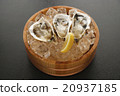 牡蠣 20937185