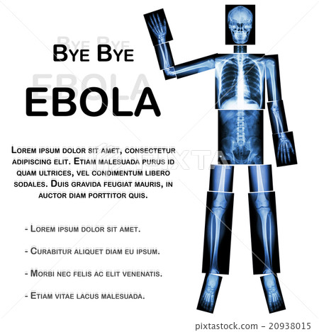 Good Bye EBOLA. (Human bone wave the hand) 20938015