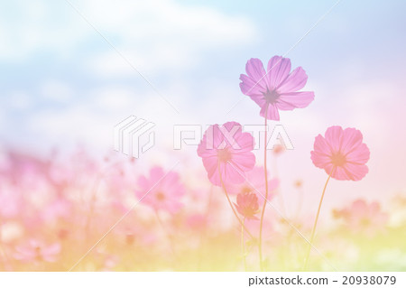 Digital effects colorful abstract for background. Digital effects colorful abstract for background. 20938079