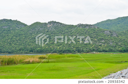 Mountain landscape  20938342