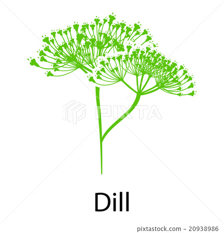 Dill icon 20938986