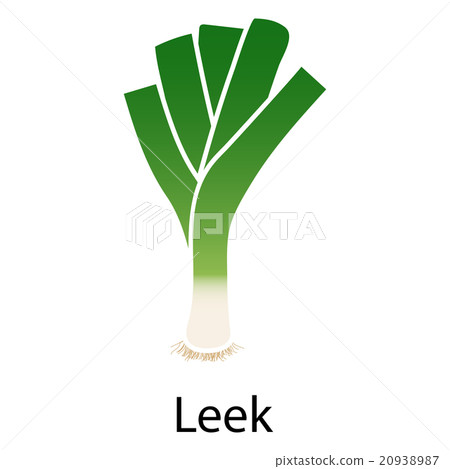 Leek onion icon 20938987