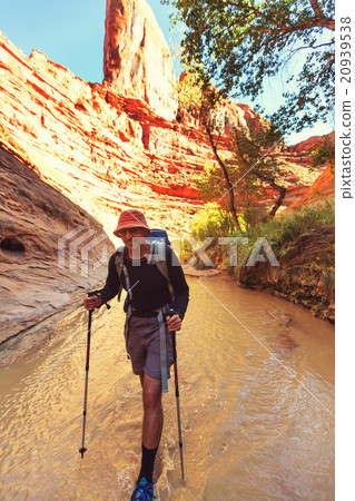 Hike in Coyote gulch 20939538
