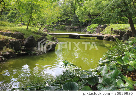 清澄花園 20939980