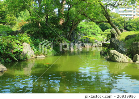 清澄花園 20939986