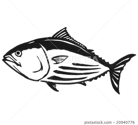 鰹魚的例證 鰹魚的例證 20940776
