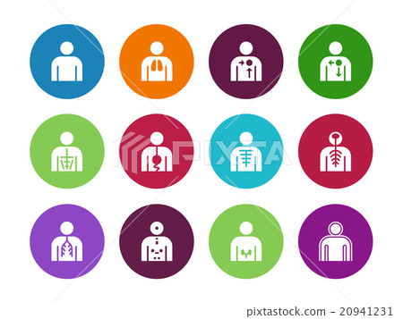 Vector medical organs system circle icons on white 20941231