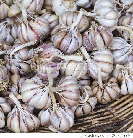fresh garlics in a market fresh garlics in a market 20941559