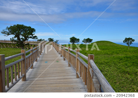Hokkaido World Natural Heritage Shiretoko 5 Lake Tree Road Hokkaido World Natural Heritage Shiretoko 5 Lake Tree Road 20942368