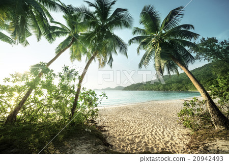 sunset on the beach, Mahe island, Seychelles sunset on the beach, Mahe island, Seychelles 20942493