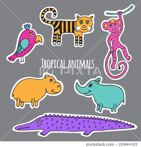 Set tropical animals 20944185