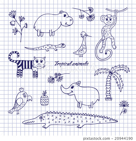 Hand-draw tropical animals Hand-draw tropical animals 20944190