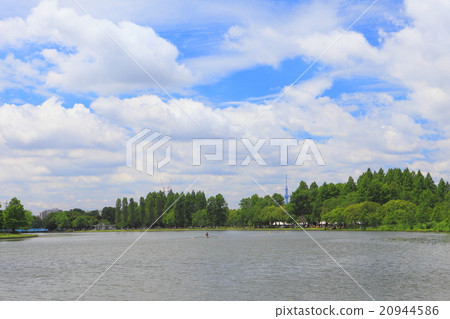 新鮮的綠色Mizumoto公園的水邊 20944586