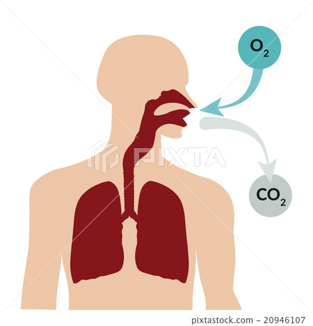 Breathing through the nose and exhaling through 20946107