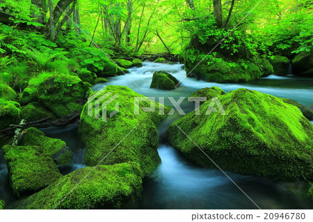 Oirase流 20946780