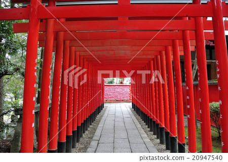 Nguyen Shrine 20947540