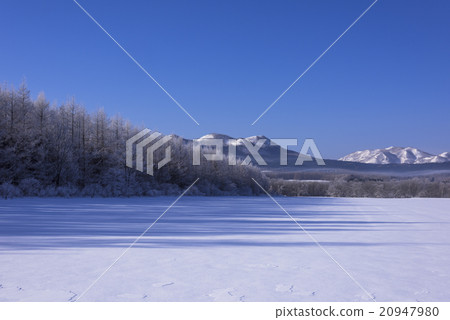 霧冰的早晨在阿寒國家公園 20947980