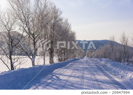 Morning of fog ice in Akan National Park Morning of fog ice in Akan National Park 20947994