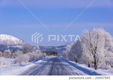 Morning of fog ice in Akan National Park 20947995