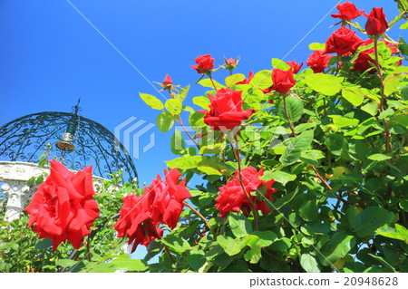 東京德國村幸運鐘 東京德國村幸運鐘 20948628