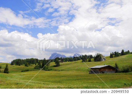 Alpe di Siusi alpe di siusi Zaiser alm seiser alm 20949550