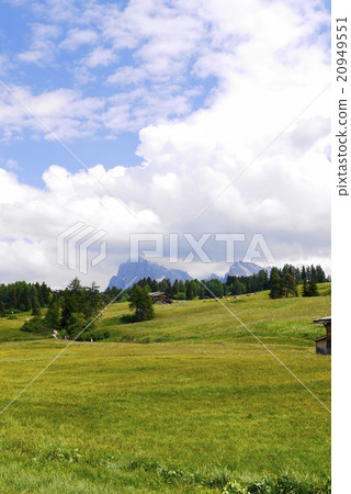 Alpe di Siusi alpe di siusi Zaiser alm seiser alm Alpe di Siusi alpe di siusi Zaiser alm seiser alm 20949551