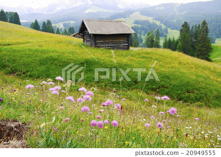Alpe di Siusi alpe di siusi Zaiser alm seiser alm 20949555