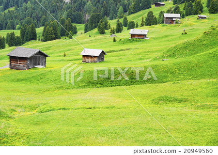 Alpe di Siusi alpe di siusi Zaiser alm seiser alm 20949560