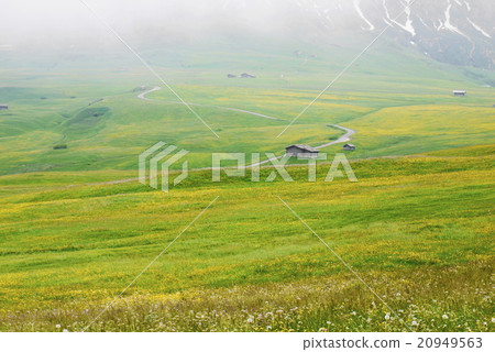 Alpe di Siusi alpe di siusi Zaiser alm seiser alm 20949563