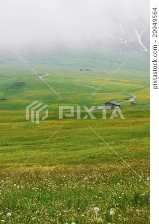 Alpe di Siusi alpe di siusi Zaiser alm seiser alm Alpe di Siusi alpe di siusi Zaiser alm seiser alm 20949564